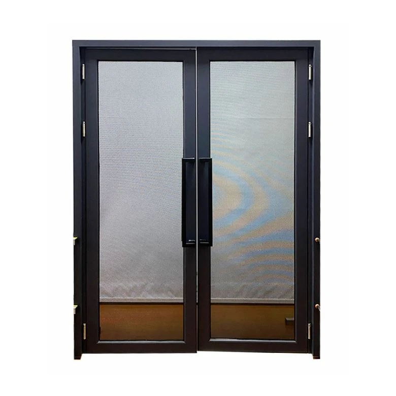 Aluminum Double Swing Door